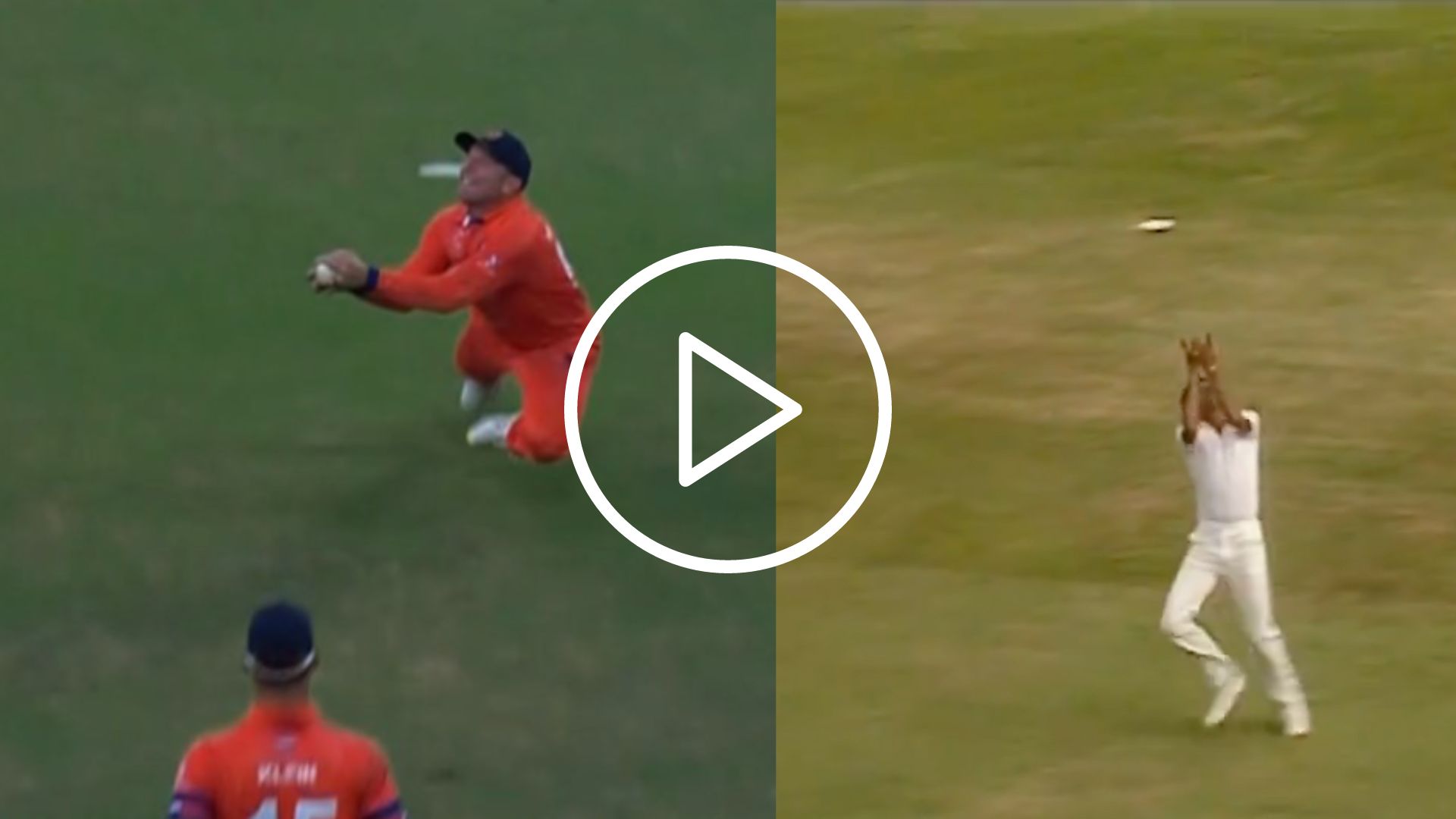 NZ vs NED | Former RCB Player Recreates Kapil Dev's 1983 WC-Winning Catch